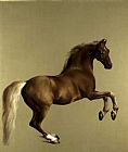 Whistlejacket